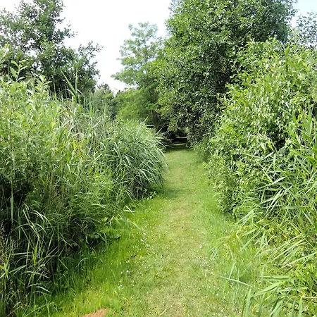 Rustic Surrounded By Forests *