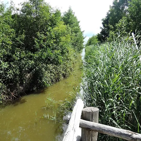 Rustic Surrounded By Forests アパート *