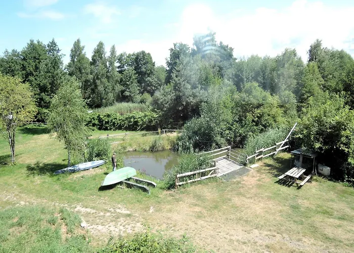 Rustic Surrounded By Forests