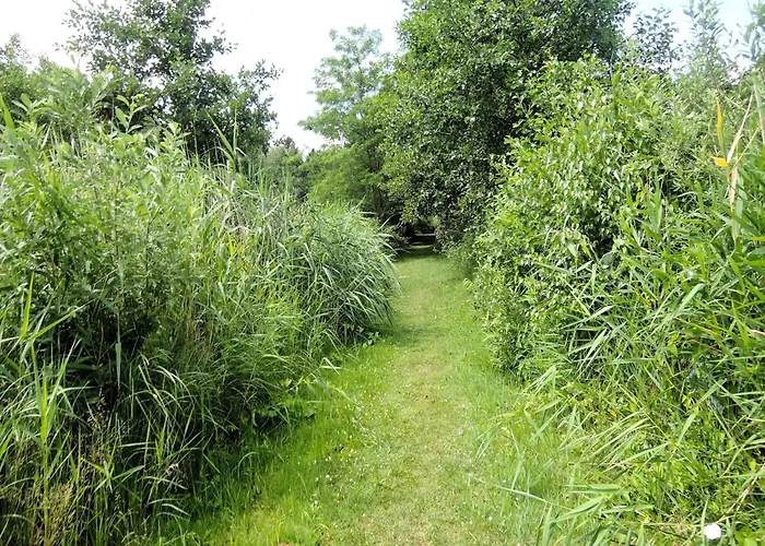 Rustic Surrounded By Forests *