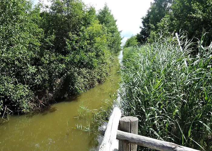 Rustic Surrounded By Forests Apartamento *