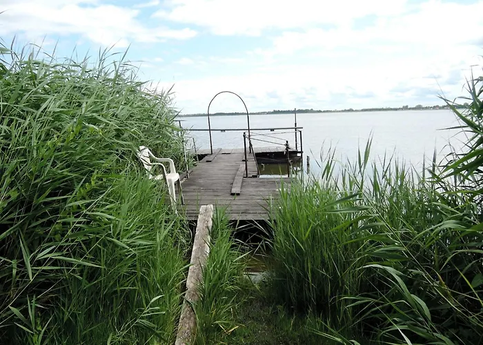 Apartamento Rustic Surrounded By Forests *